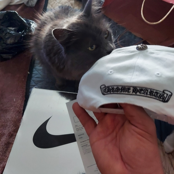 Meet your Posher, John - Picture 9 of 10